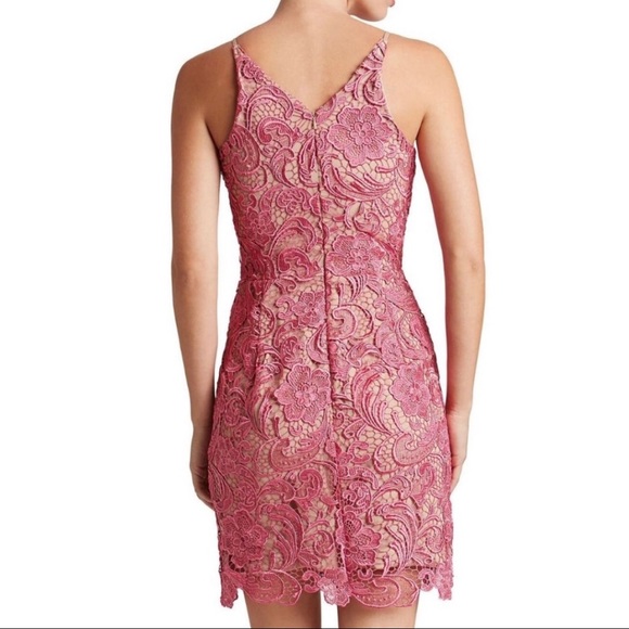 Pink Lace Dress the Population Cocktail Dress - Picture 2 of 5